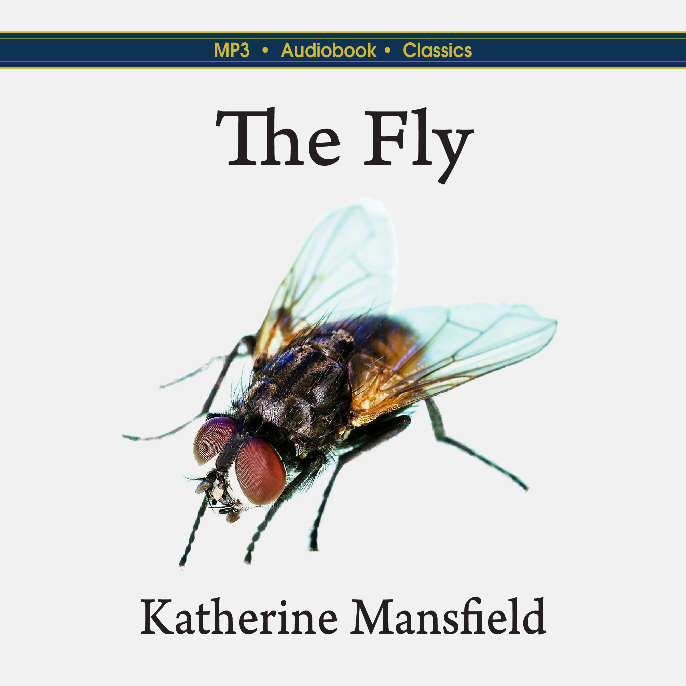The Fly post thumbnail image